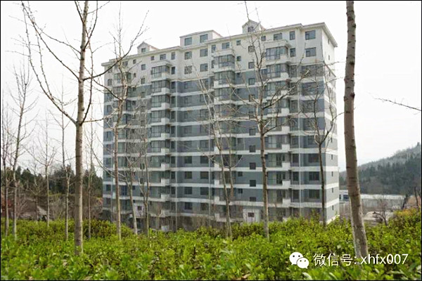 集团公司启动自建小高层山景房销售